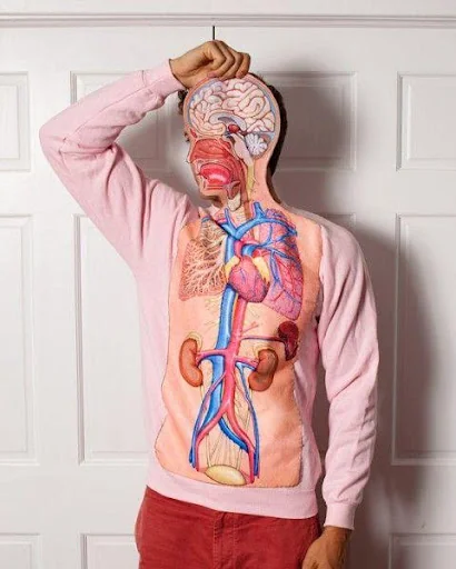 Digestion Problems Guide