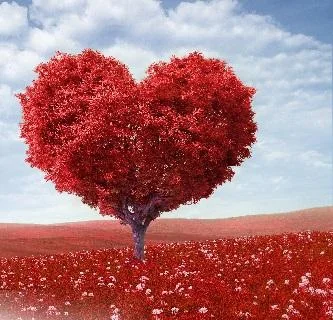 SMS D'amour en Français