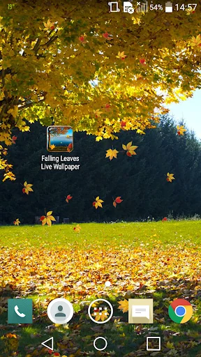 Falling Leaves Live Wallpaper screenshot 2