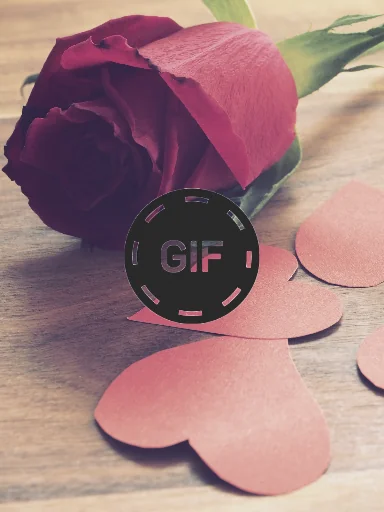 Flowers And Roses Animated GIF screenshot 1