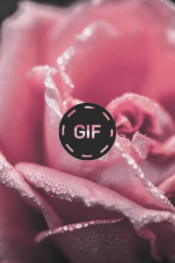Flowers And Roses Animated GIF screenshot 2