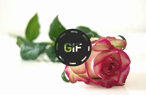 Flowers And Roses Animated GIF screenshot 4