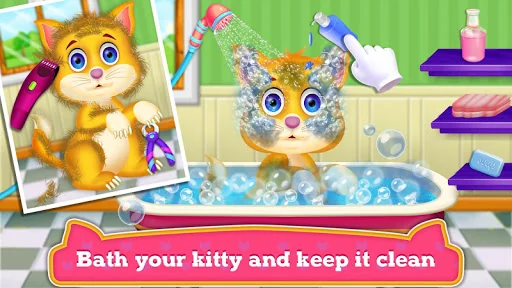Kitty Day Care
