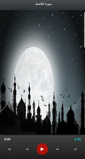 قرأن الكريم كامل  بصوت جميع ال screenshot 3