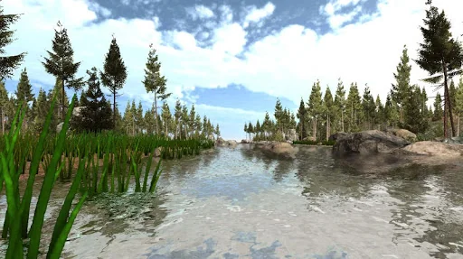 VR Forest Relaxation 1 screenshot 2