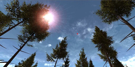 VR Forest Relaxation 1 screenshot 3