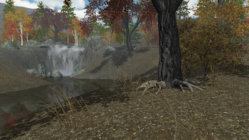 VR Relaxation Walking 2