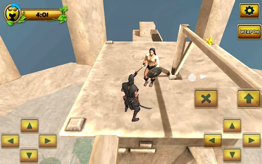Ninja Samurai Assassin Hero
