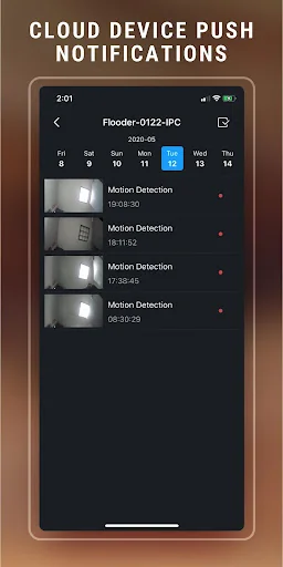 IC Realtime ICRSS Pro screenshot 3