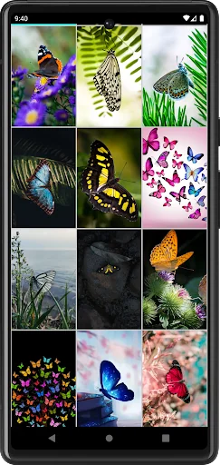 Butterfly Wallpapers screenshot 3