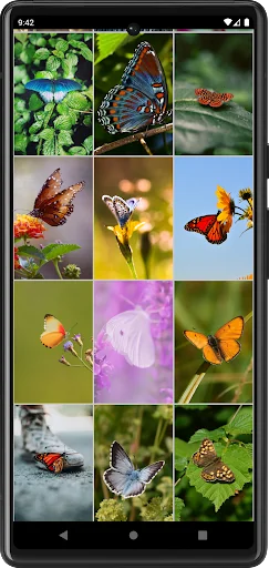 Butterfly Wallpapers screenshot 4