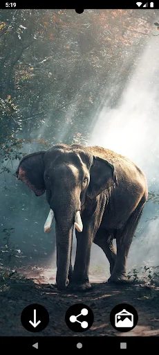 Elephant Wallpapers screenshot 2