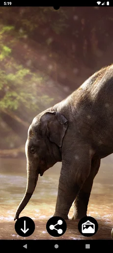 Elephant Wallpapers screenshot 3