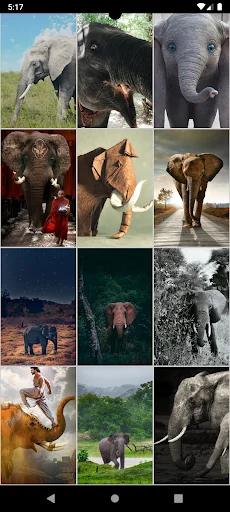 Elephant Wallpapers screenshot 4
