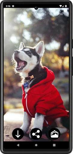 Husky Puppies Wallpapers screenshot 2