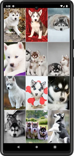 Husky Puppies Wallpapers screenshot 3