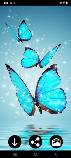 Neon Butterflies Wallpapers