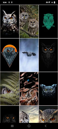 Owl Wallpapers: Night predator screenshot 2