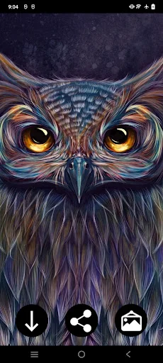 Owl Wallpapers: Night predator screenshot 3