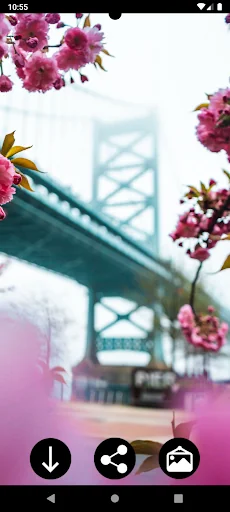 Spring Wallpapers screenshot 1