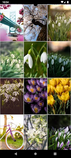 Spring Wallpapers screenshot 2