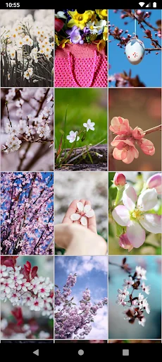 Spring Wallpapers screenshot 4