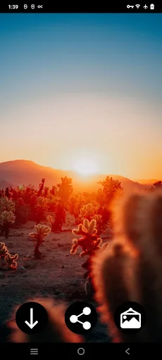 Sunrise & Sunset Wallpapers screenshot 1