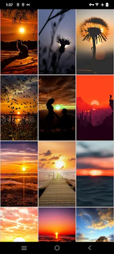 Sunrise & Sunset Wallpapers screenshot 2