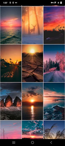 Sunrise & Sunset Wallpapers screenshot 4