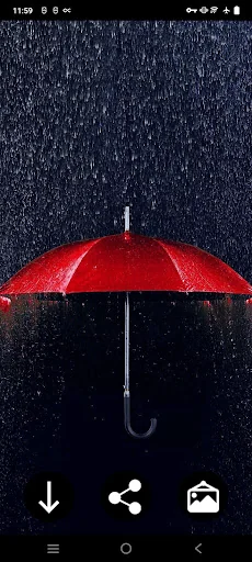 Umbrella Wallpapers