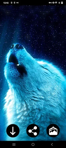 White Wolf Wallpapers