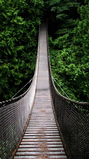 Jungle Live Wallpaper screenshot 1