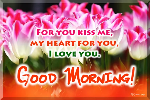 Good Morning Afternoon Night