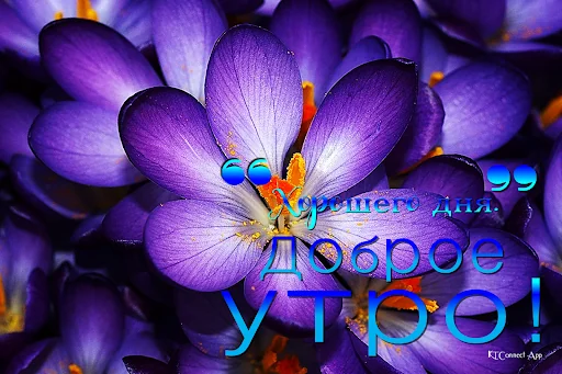 Good Morning in Russian