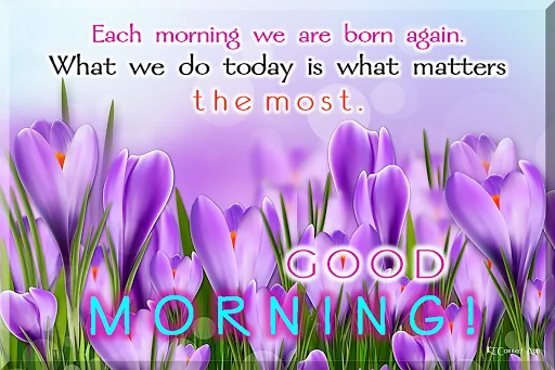 Good Morning Everyday