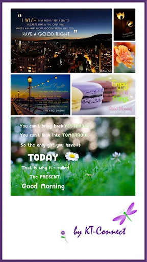 Morning Afternoon till Night