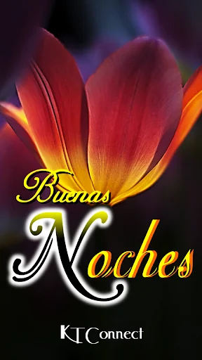 Good Night in Spanish screenshot 1