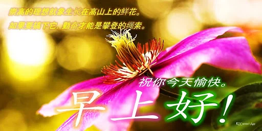 Chinese Good Morning - Night