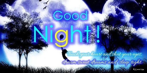 Good Night