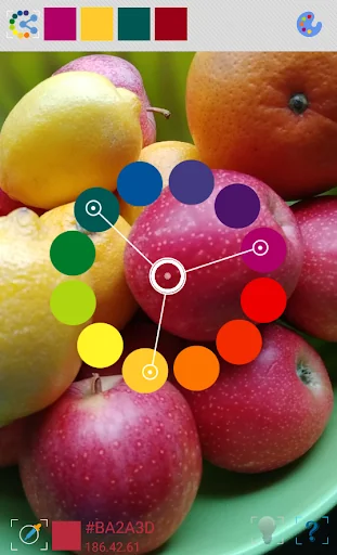Camera Color Block