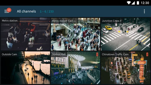 Luxriot EVO Mobile screenshot 2