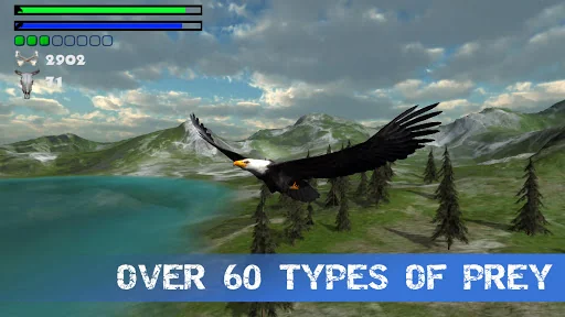 Eagle Hunting Journey