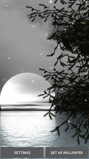 Moonlight Live Wallpaper screenshot 4