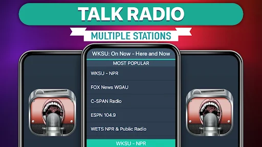Talk Radio Favorites screenshot 1
