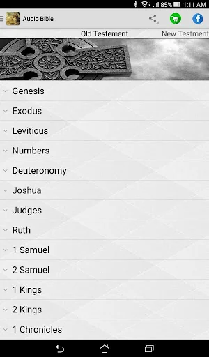 Bible Audio Niv