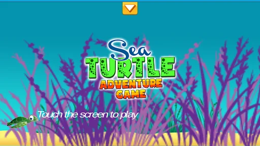 Sea Turtle Adventure Game