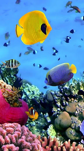 Ocean Fish Live Wallpaper screenshot 3