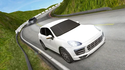 Offroad Cayenne