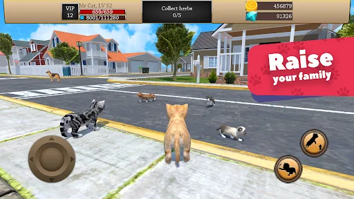 Cat Simulator 3D - Animal Life screenshot 1