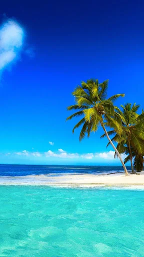 Paradise Live Wallpaper screenshot 1